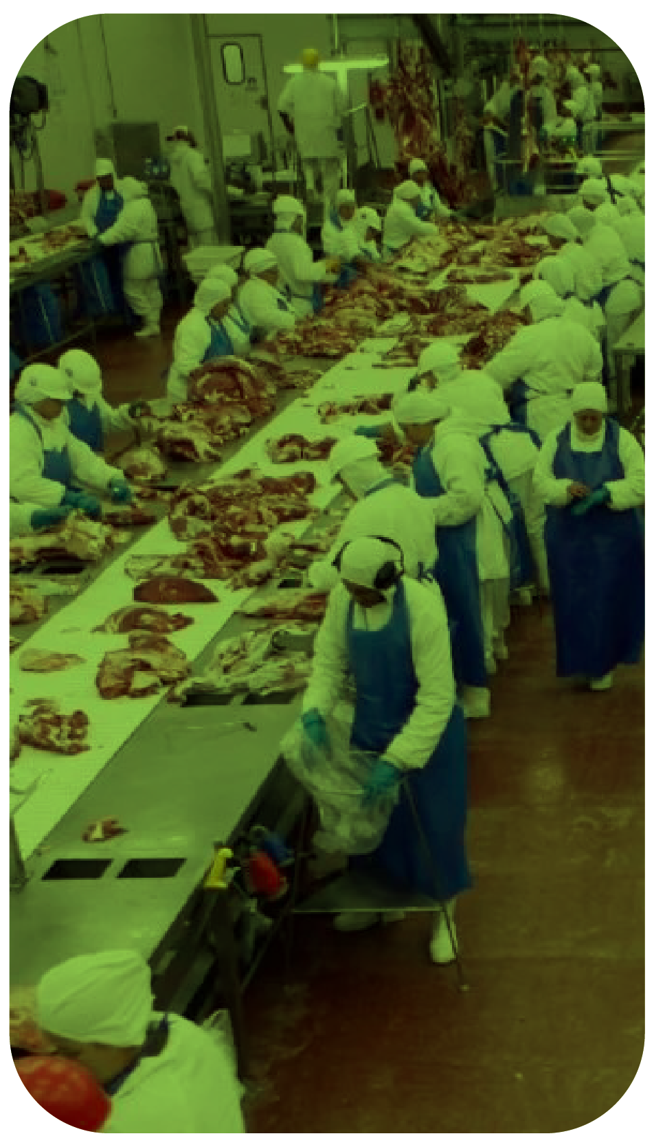 Site_3JP_Desenvolv_Contato_Foto