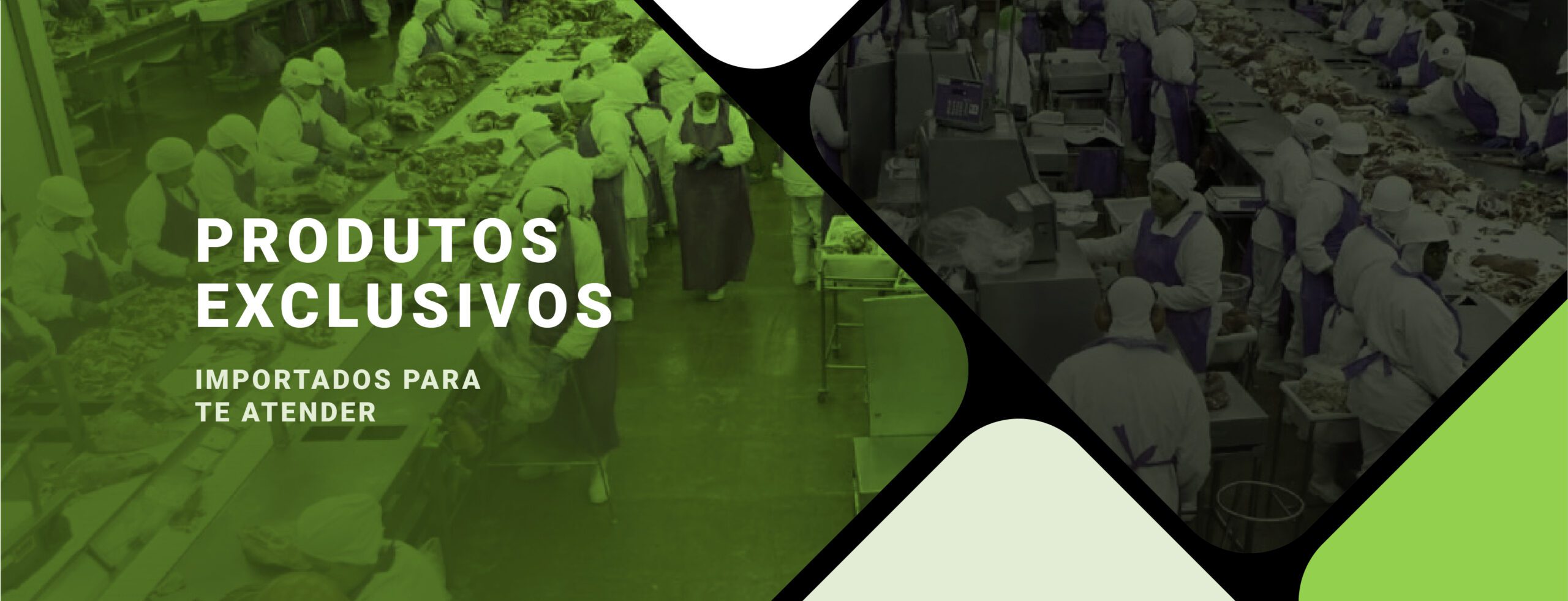 Produtos Exclusivos - Importados para te atender